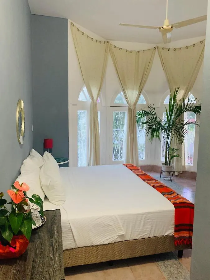 Couette-café Bed and Breakfast The Quetzal à Cancún