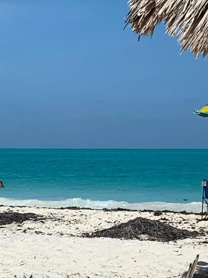 Bed and Breakfast The Quetzal Cancún Bed & Breakfast