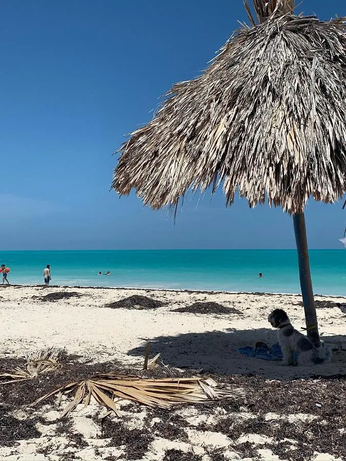 Bed and Breakfast The Quetzal Cancún