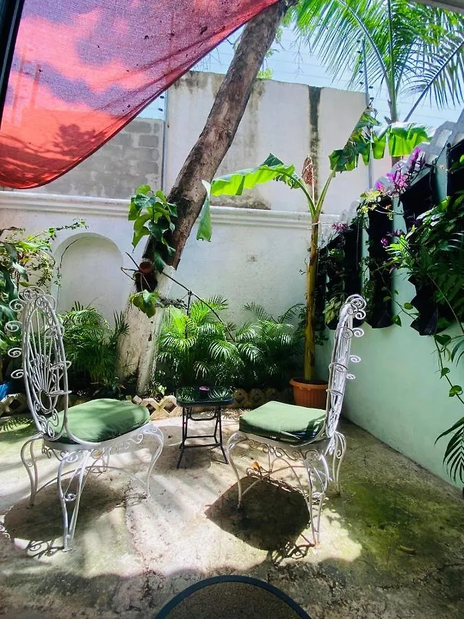 Bed & Breakfast Bed and Breakfast The Quetzal Cancún Mexiko